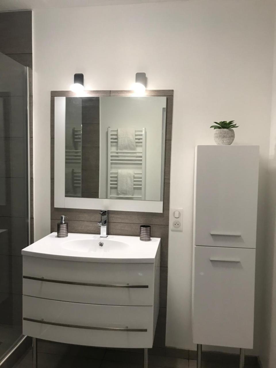 Roanne-Centre Appartement Bagian luar foto